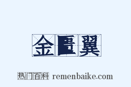 金匮翼是什么意思的图片